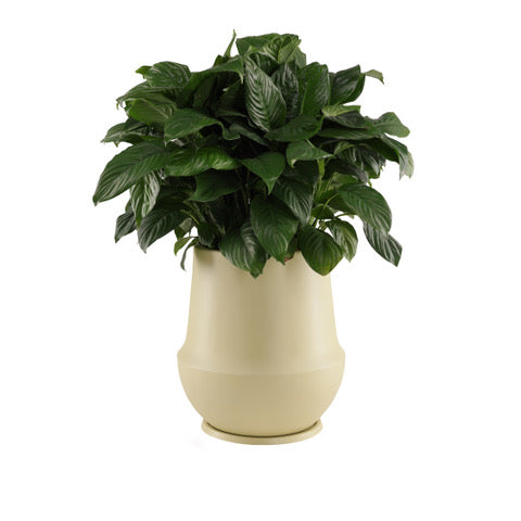 Folio Planter