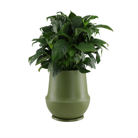 Folio Planter