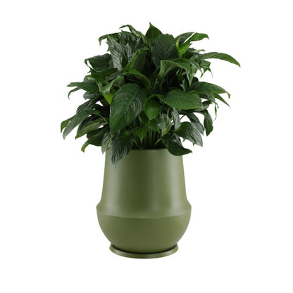 Folio Planter