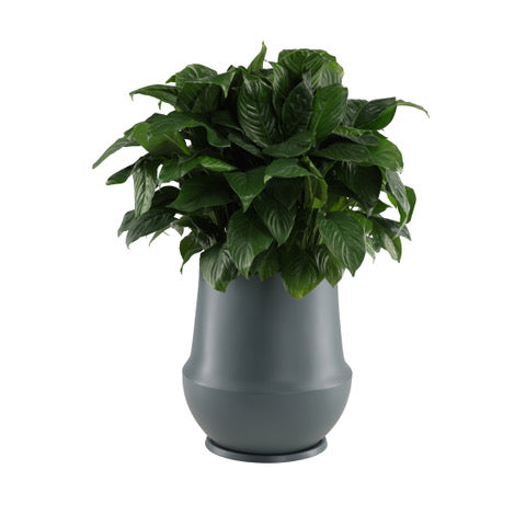 Folio Planter