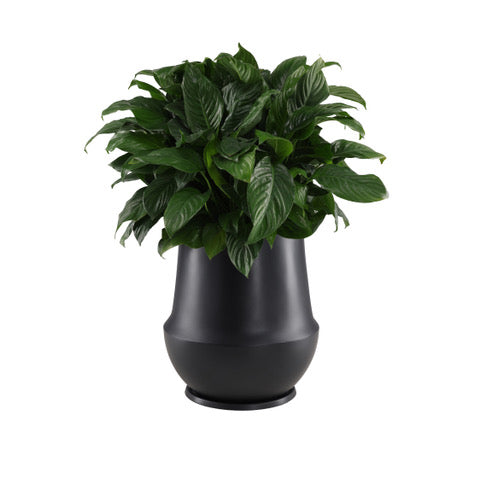 Folio Planter